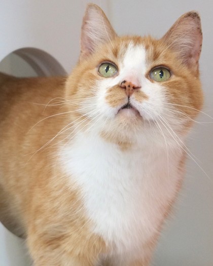 Learn More About Tj Photo of TJ
