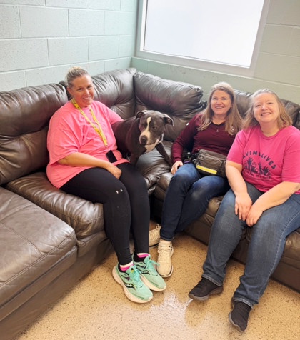 View Chief the Dog Photo #1