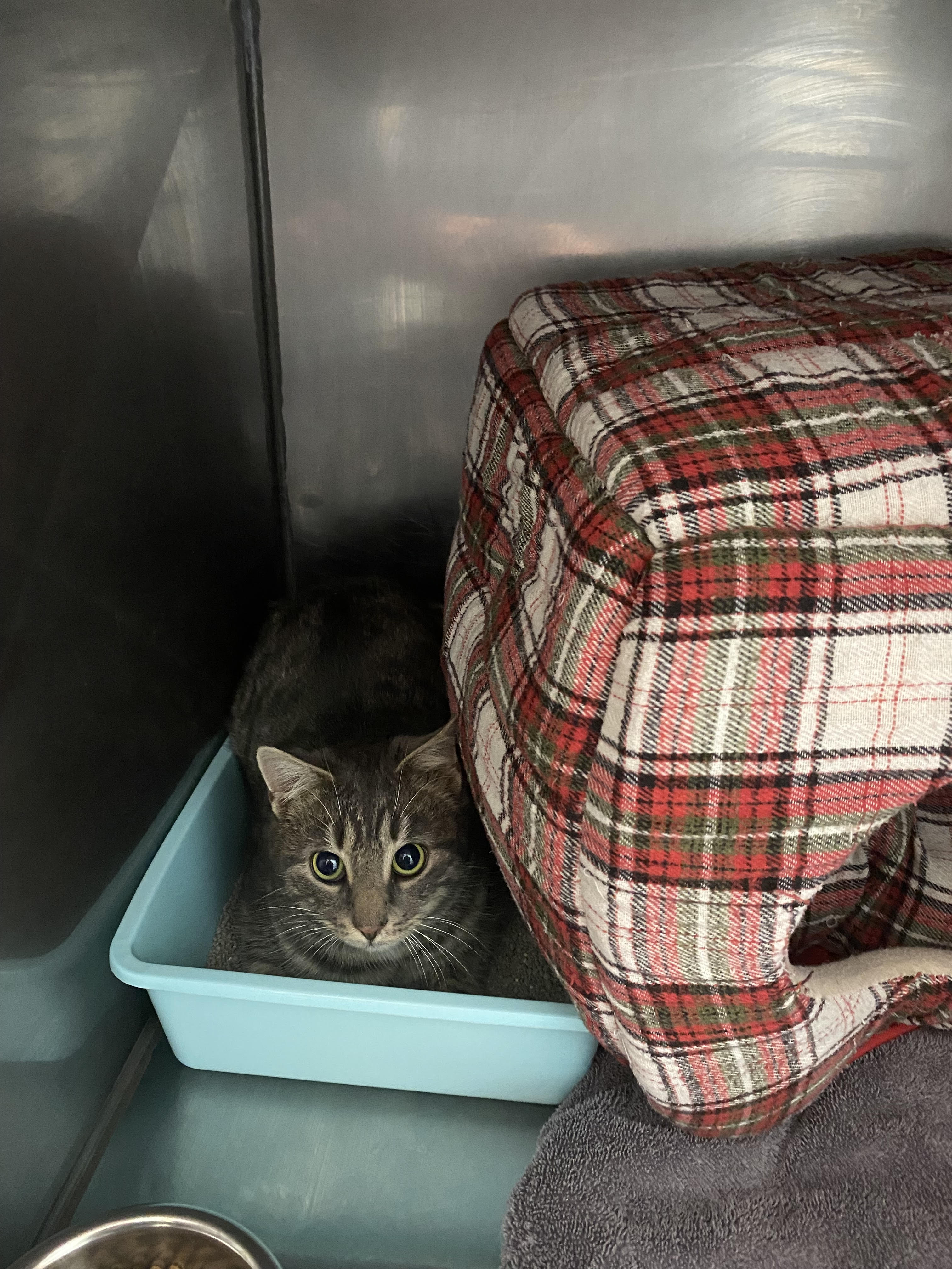 Learn More About 85400