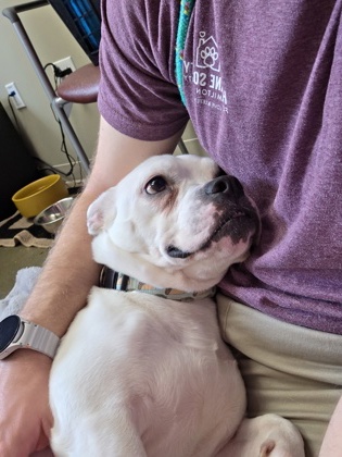 View Bert the Dog Photo #1