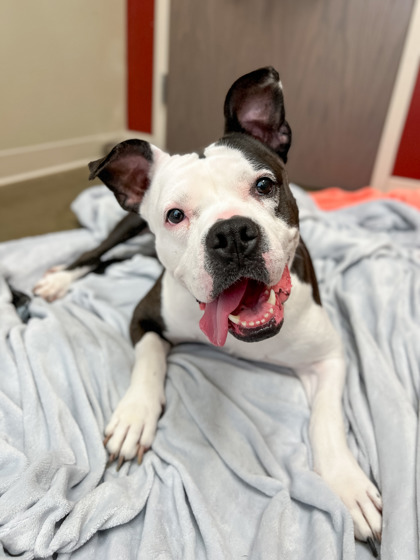 Photo of Betty Moo