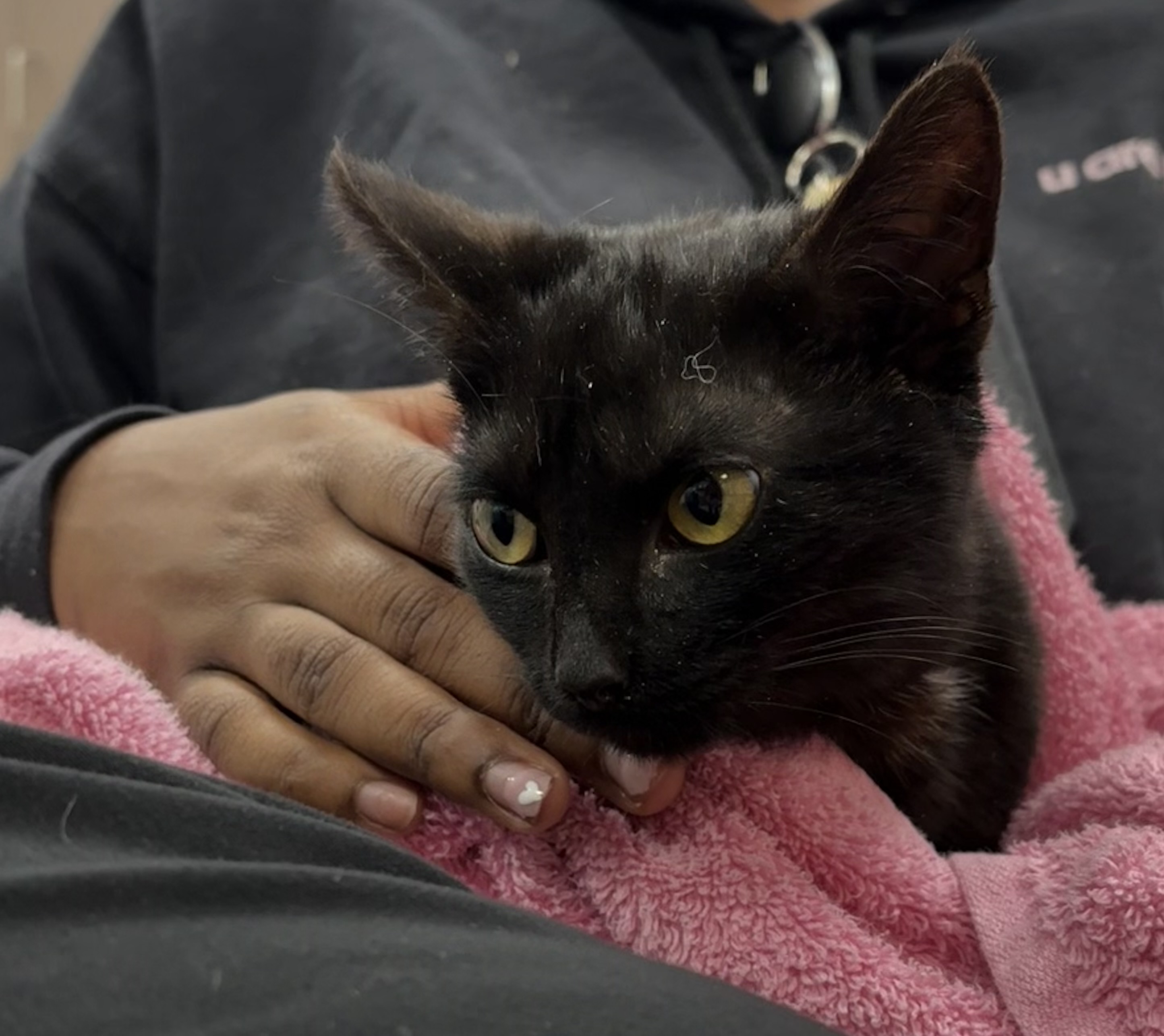 Learn More About Blot