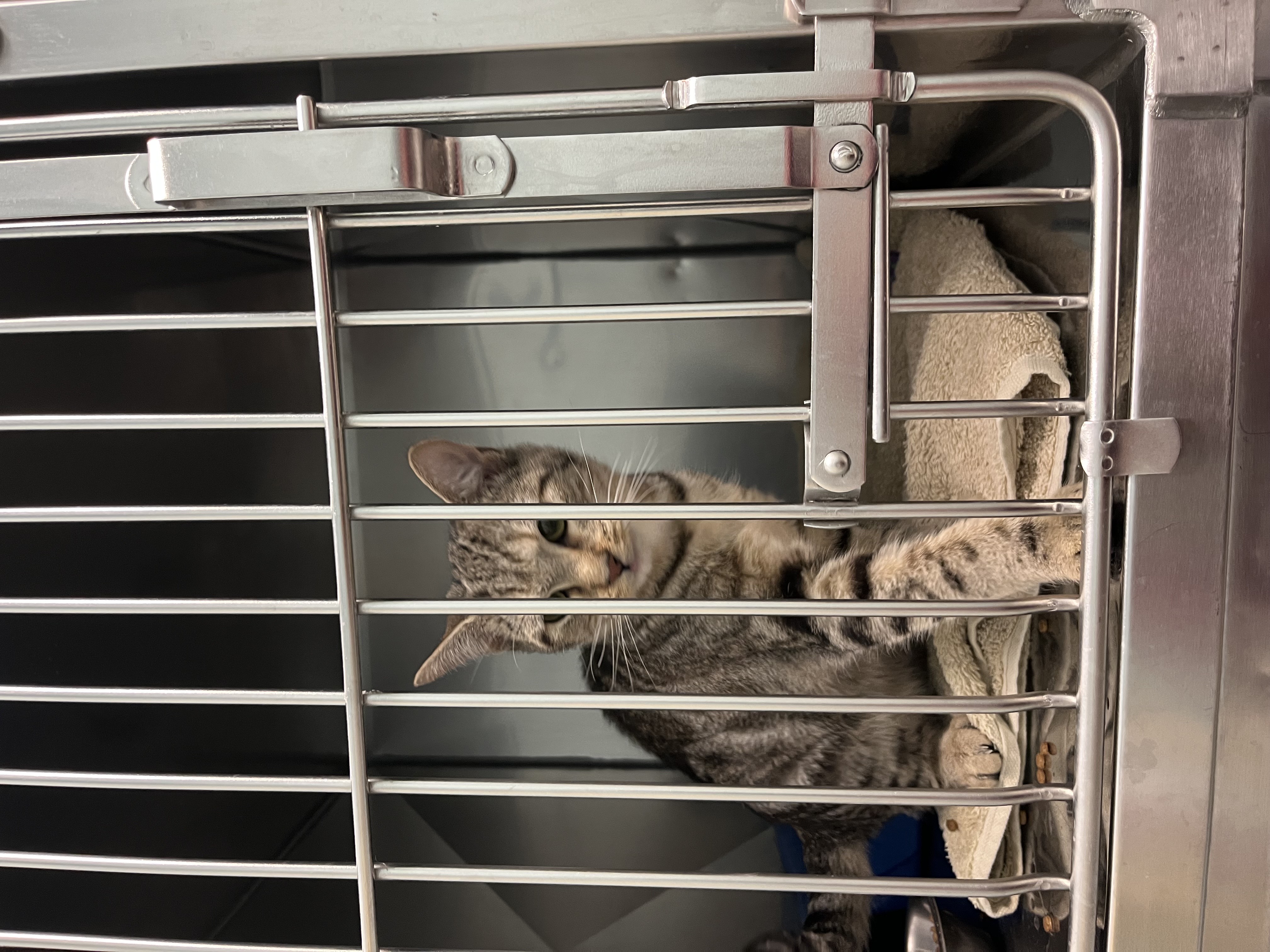 Learn More About 85422