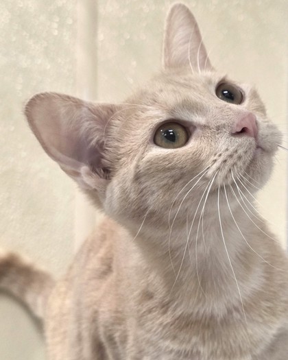 Learn More About Missy Photo of Missy