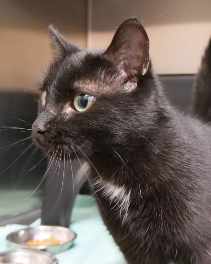 Learn More About Princess