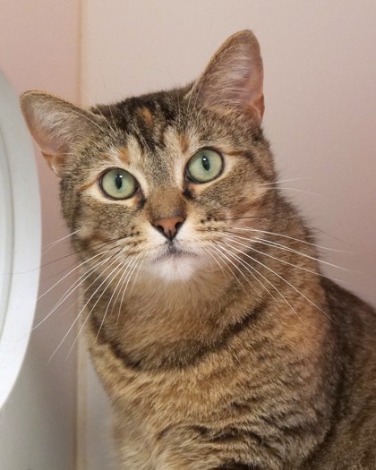 Learn More About Carol