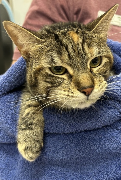 Learn More About Skinny