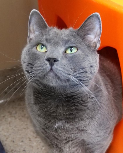 Milo