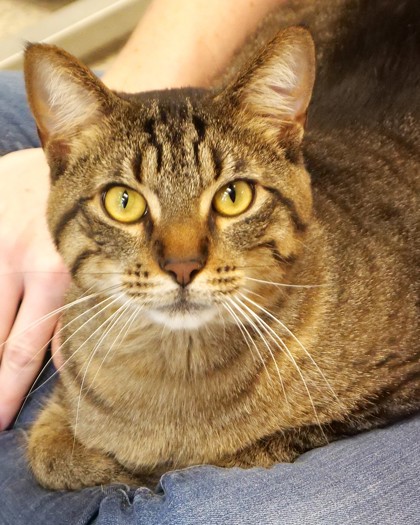 Learn More About Jerry Jerry