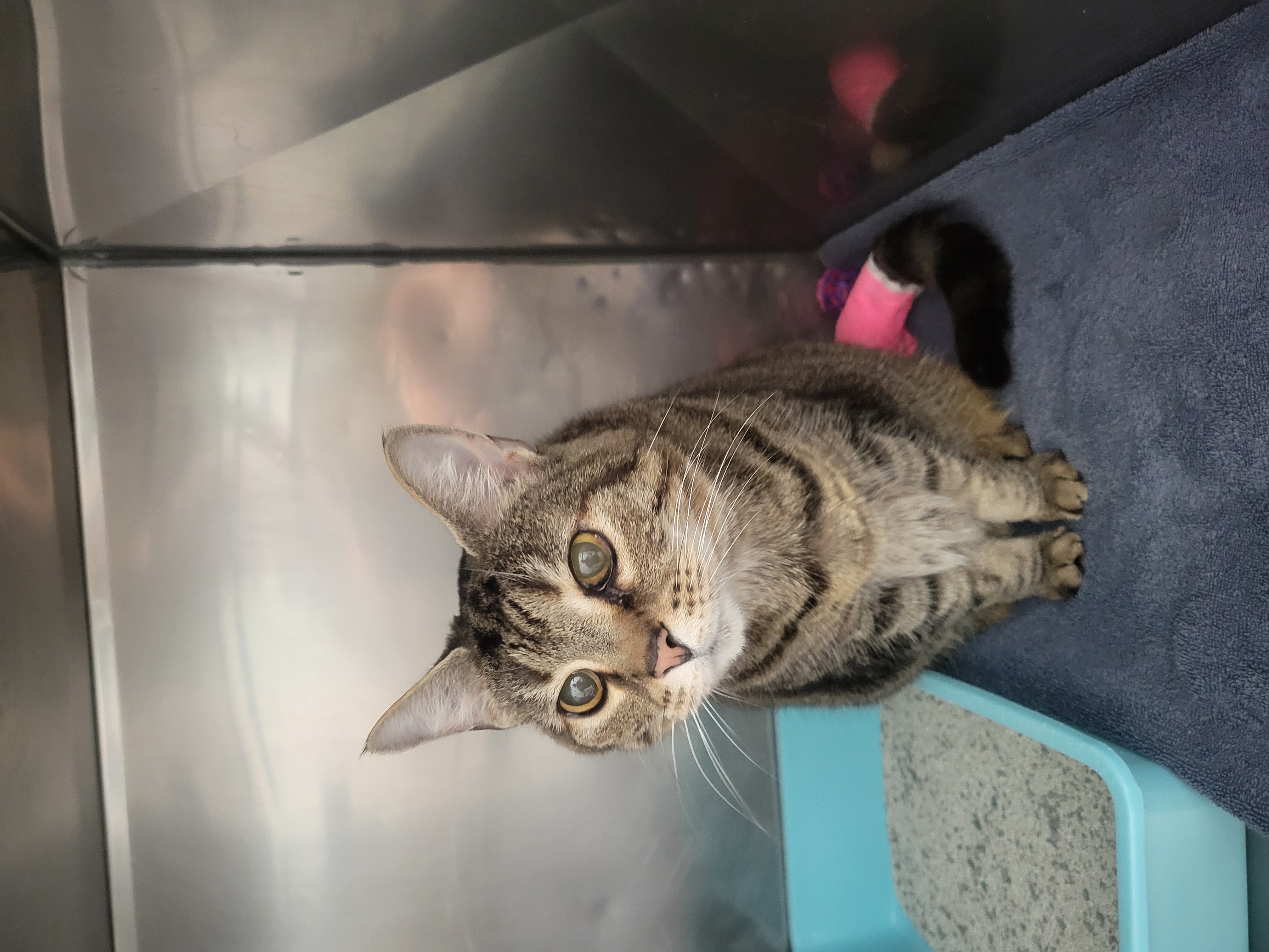 Learn More About 85608