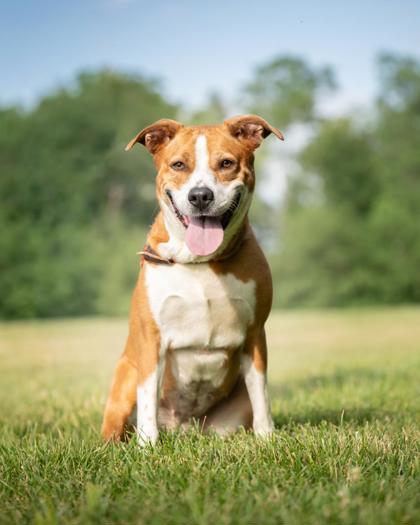 Learn More About Buttercup Photo of Buttercup