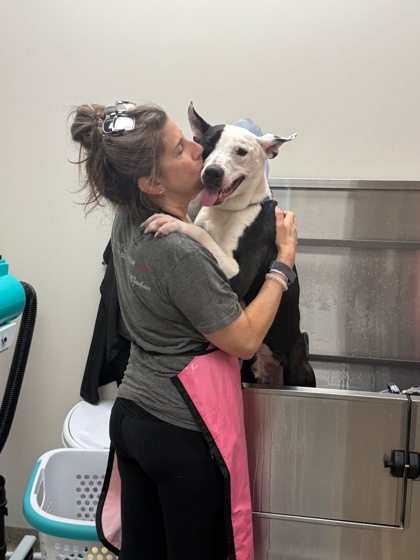 View Jim the Dog Photo #2