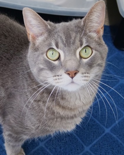 Learn More About Finn Photo of Finn