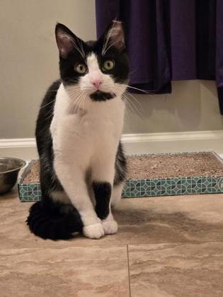 Learn More About Daryl (in Foster)