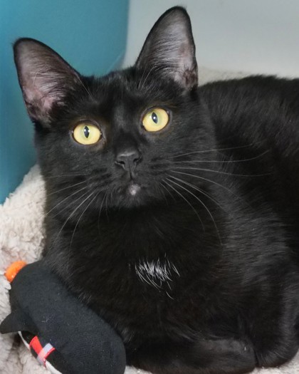 Learn More About Juno Photo of Juno