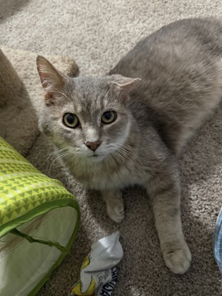 Learn More About Biggi Small (in Foster)