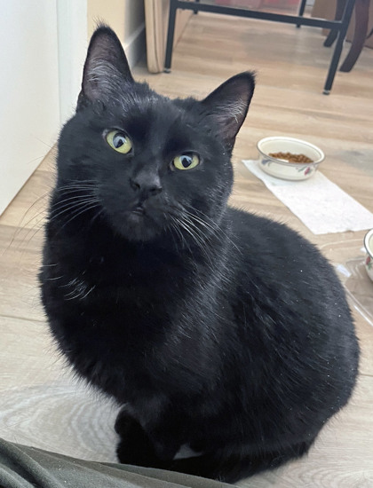 Learn More About Champagne (in Foster)