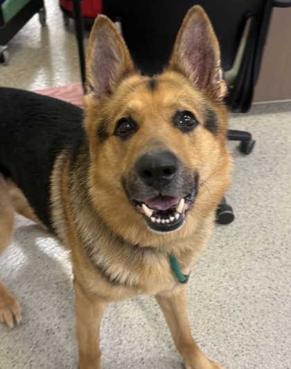 Learn More About Jaxon Photo of Jaxon