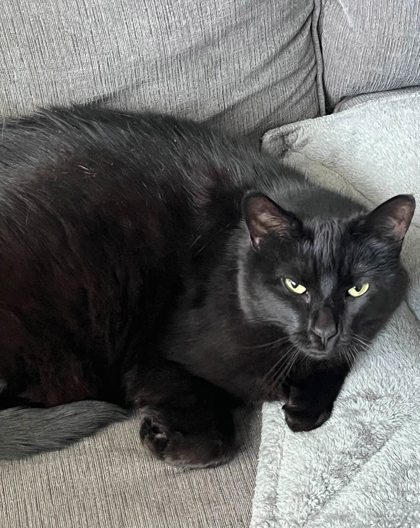 Learn More About Loki