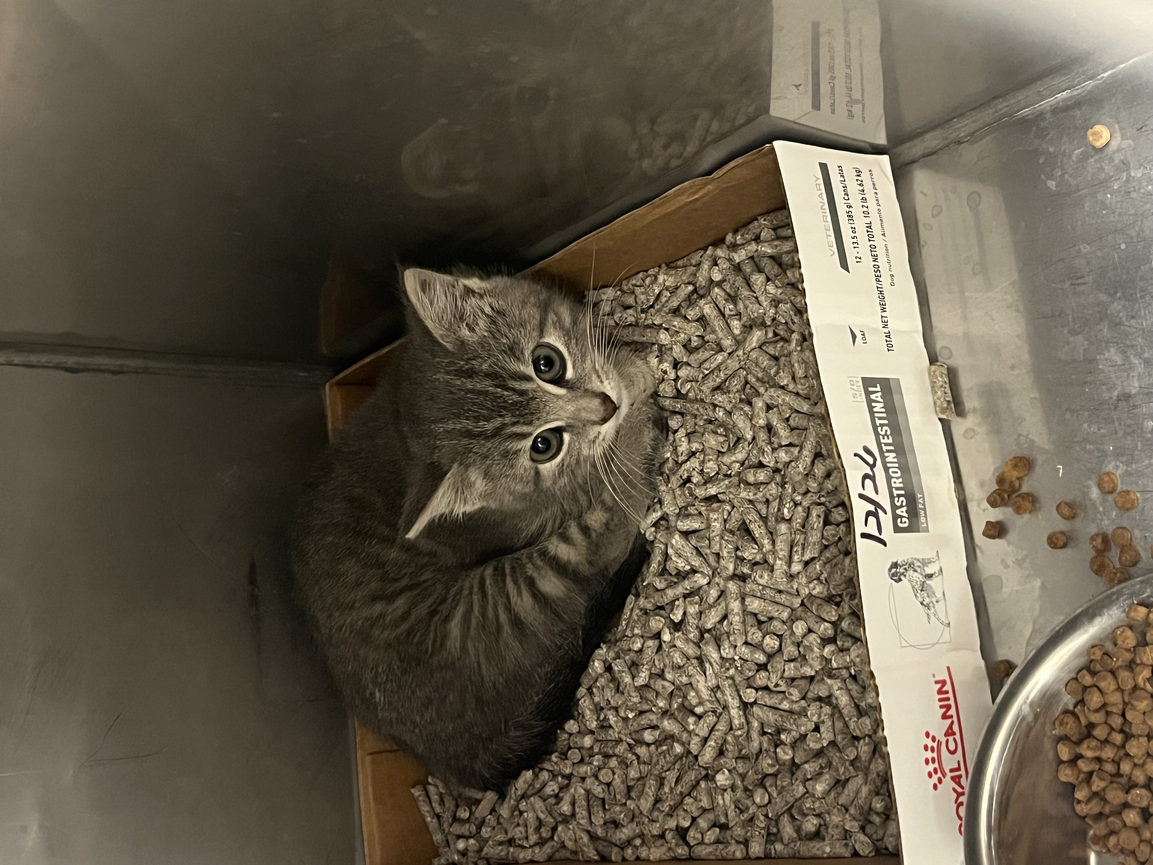 Learn More About Soda Pop