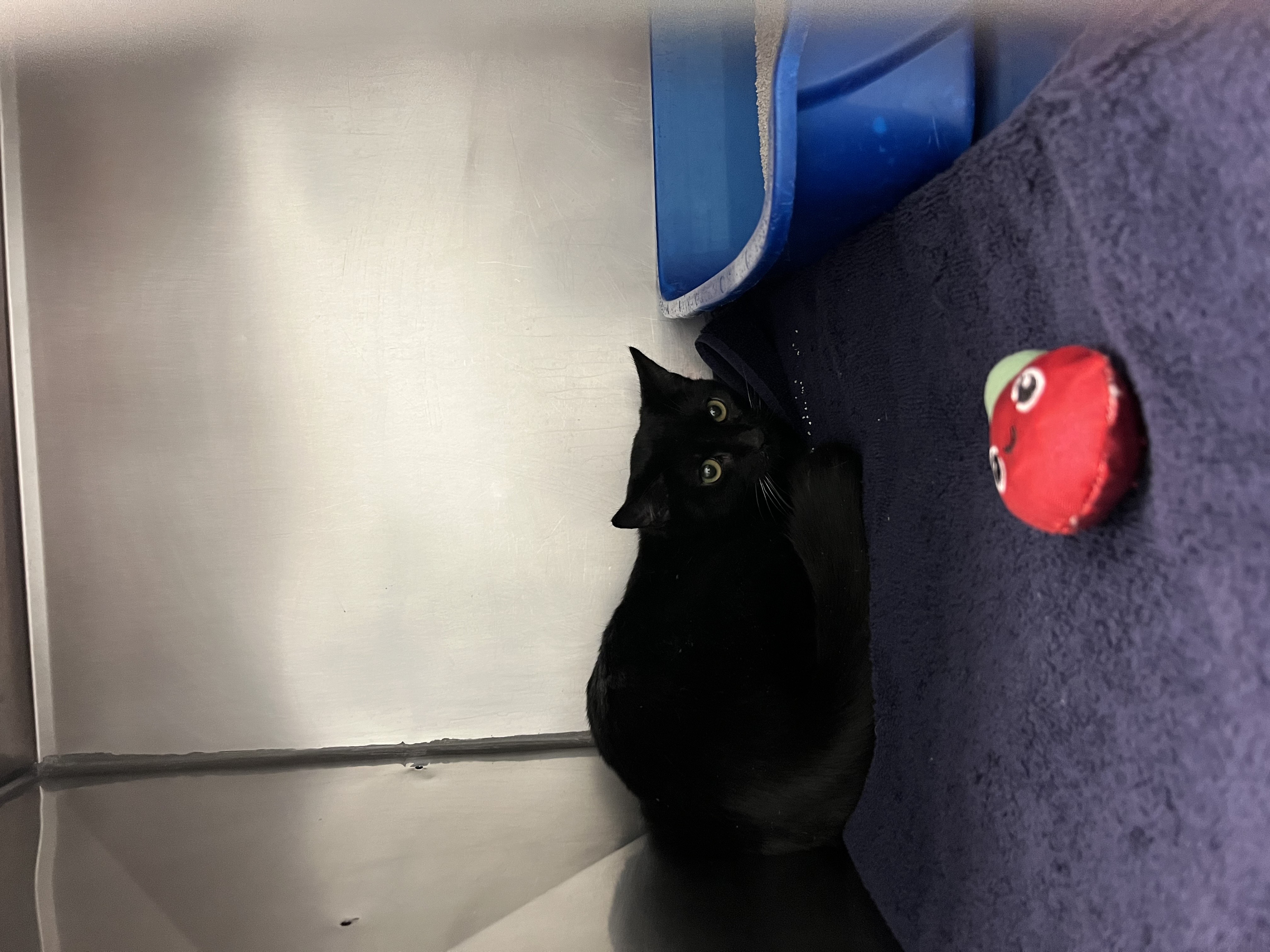 Learn More About 85421