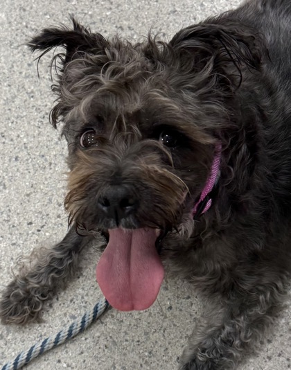 Bella