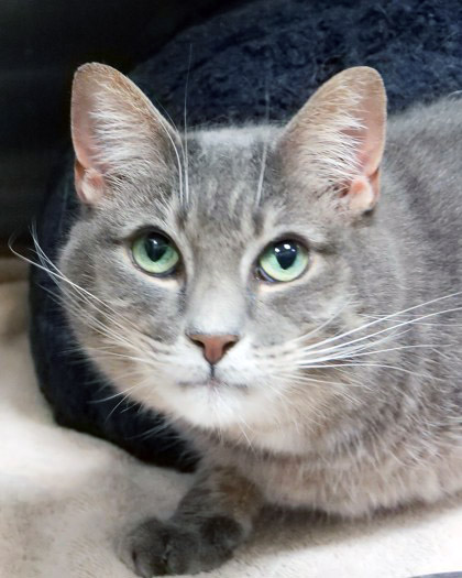 Learn More About Georgie Georgie