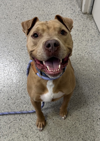 Learn More About Riley Photo of Riley