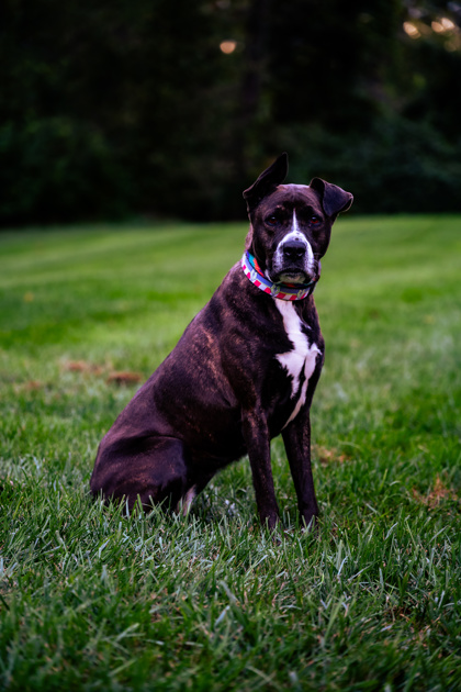 Learn More About Zuri Photo of Zuri