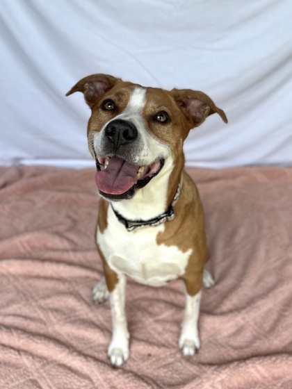 Photo of Buttercup