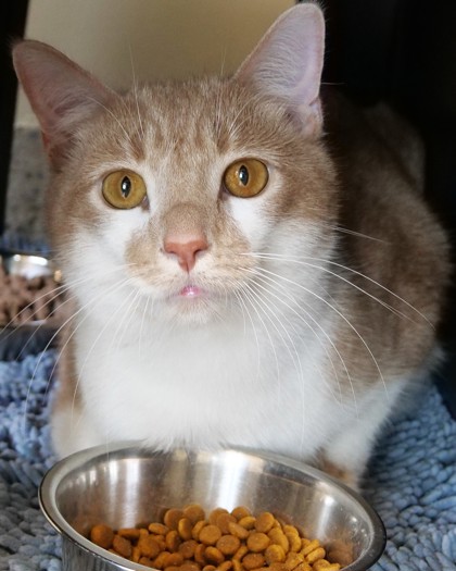 Marlo (at PetSmart)