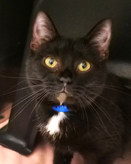 Learn More About Diva