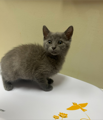 Photo of Baby Blue