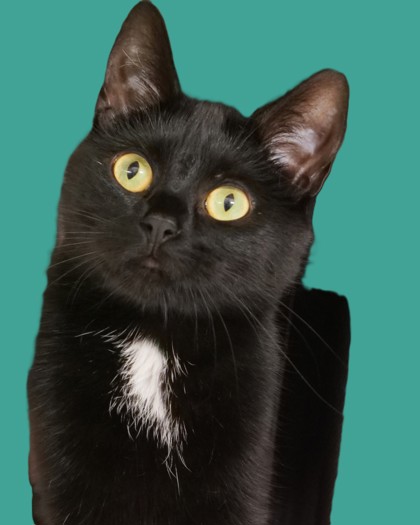 Learn More About Sloane Photo of Sloane