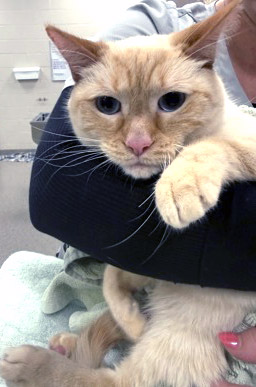 Learn More About Kilowa