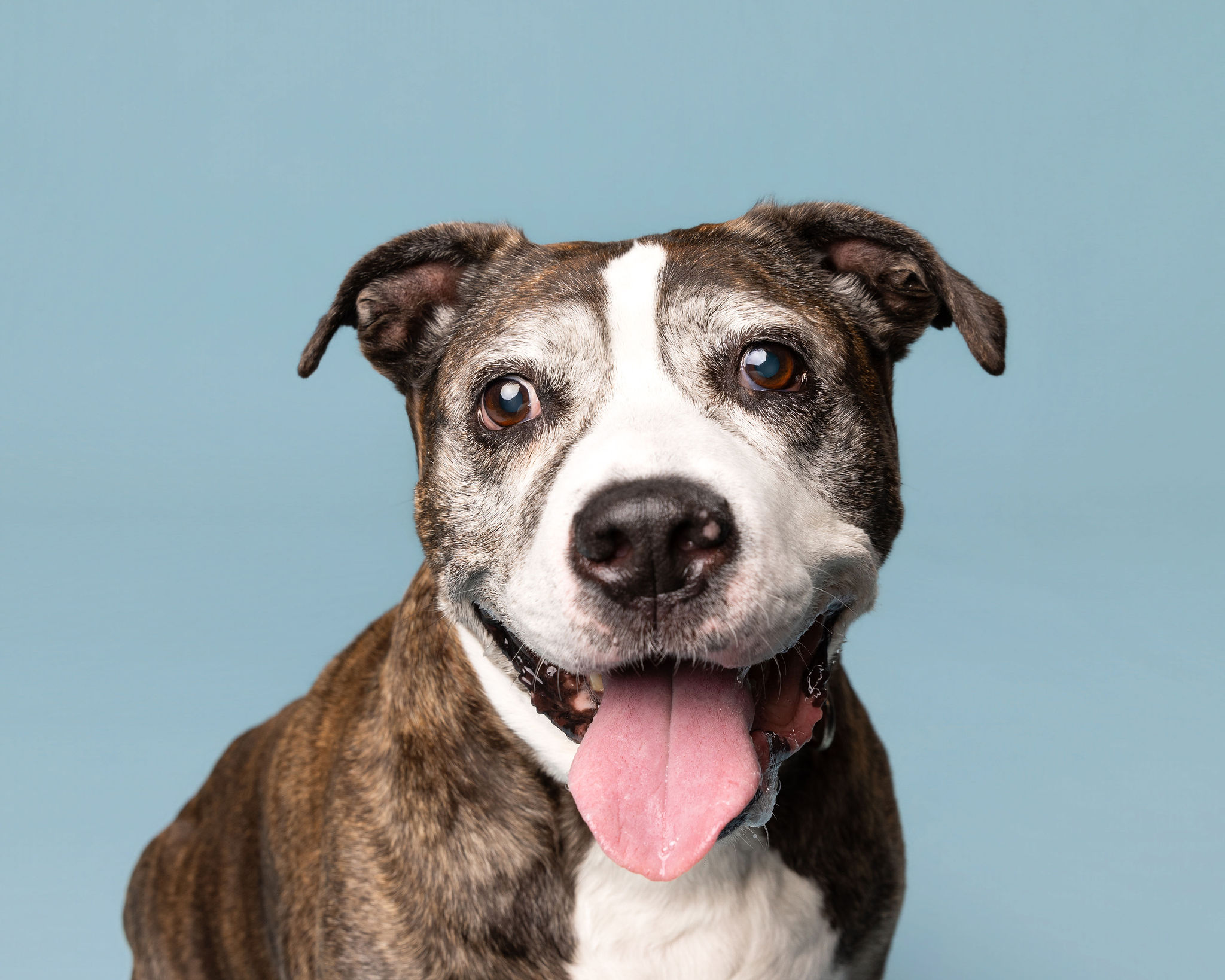 Learn More About Max Max
