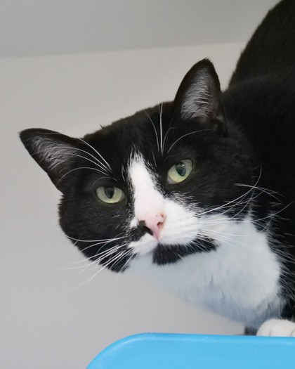 Learn More About Mazi