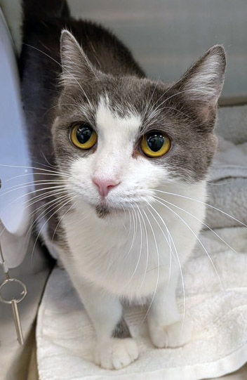 Learn More About Sullie Photo of Sullie
