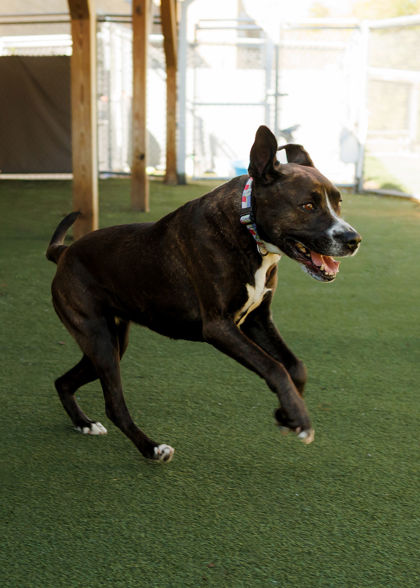 Learn More About Zuri Photo of Zuri