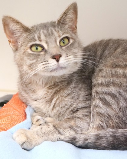 Photo of Mirabel