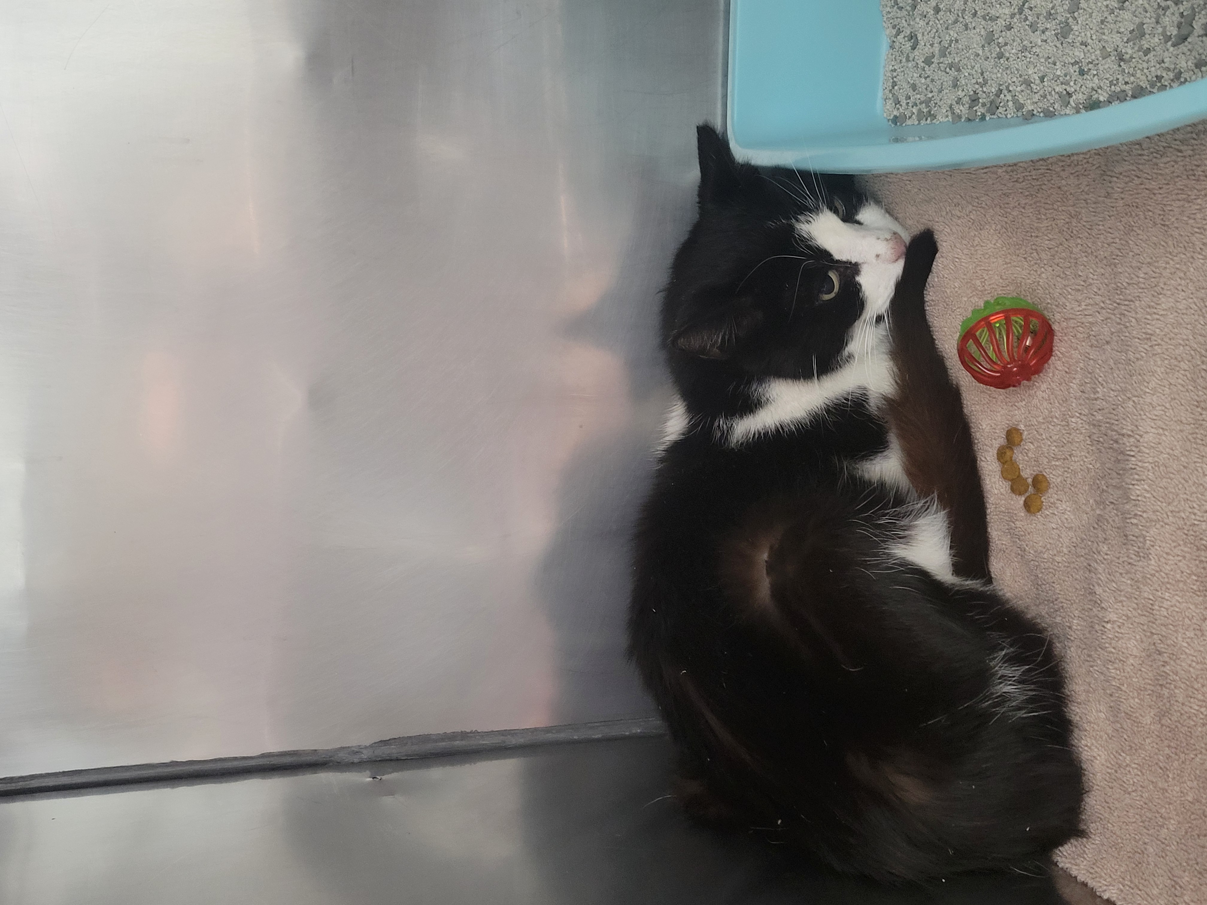 Learn More About 85613