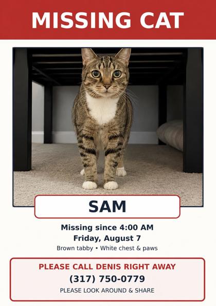 Cat