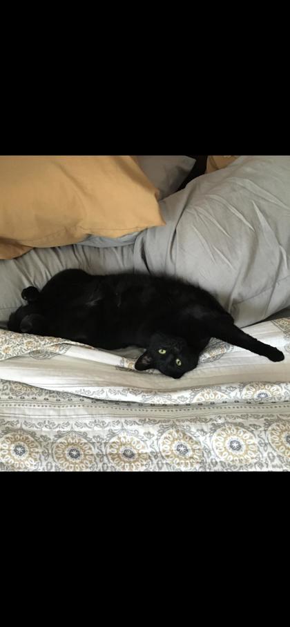 Learn More About Wyatt Koechring