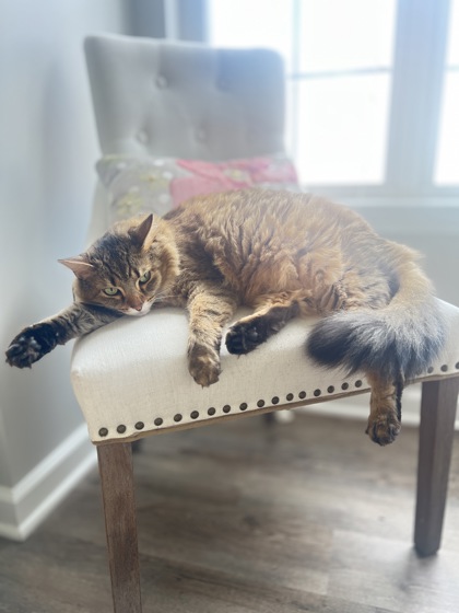 Learn More About Tulum