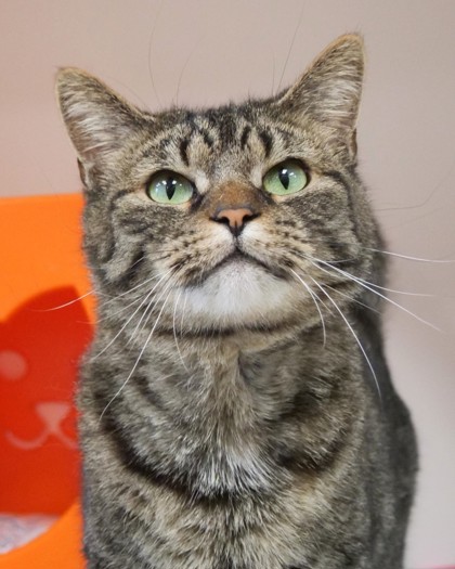 Learn More About Kit