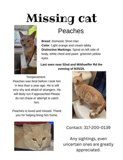 Learn More About Peaches