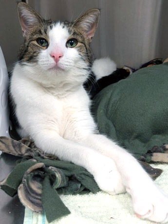 Learn More About Casper Photo of Casper