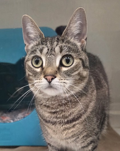 Learn More About Ash Photo of Ash