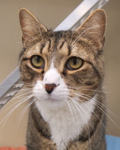 Learn More About Matteo