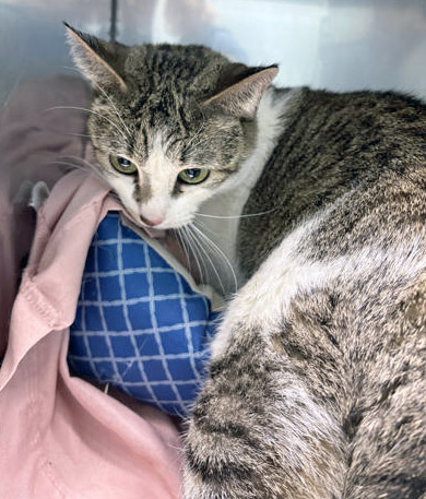 Learn More About Tabitha